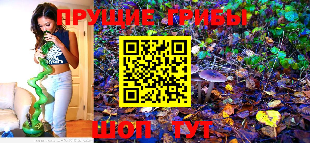 Псилоцибиновые грибы ЛСД Кызыл