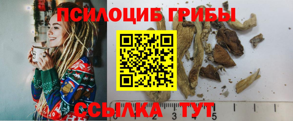 где можно купить наркотик  Галлюциногенные грибы прущие грибы  Вход с VPN  Кызыл 